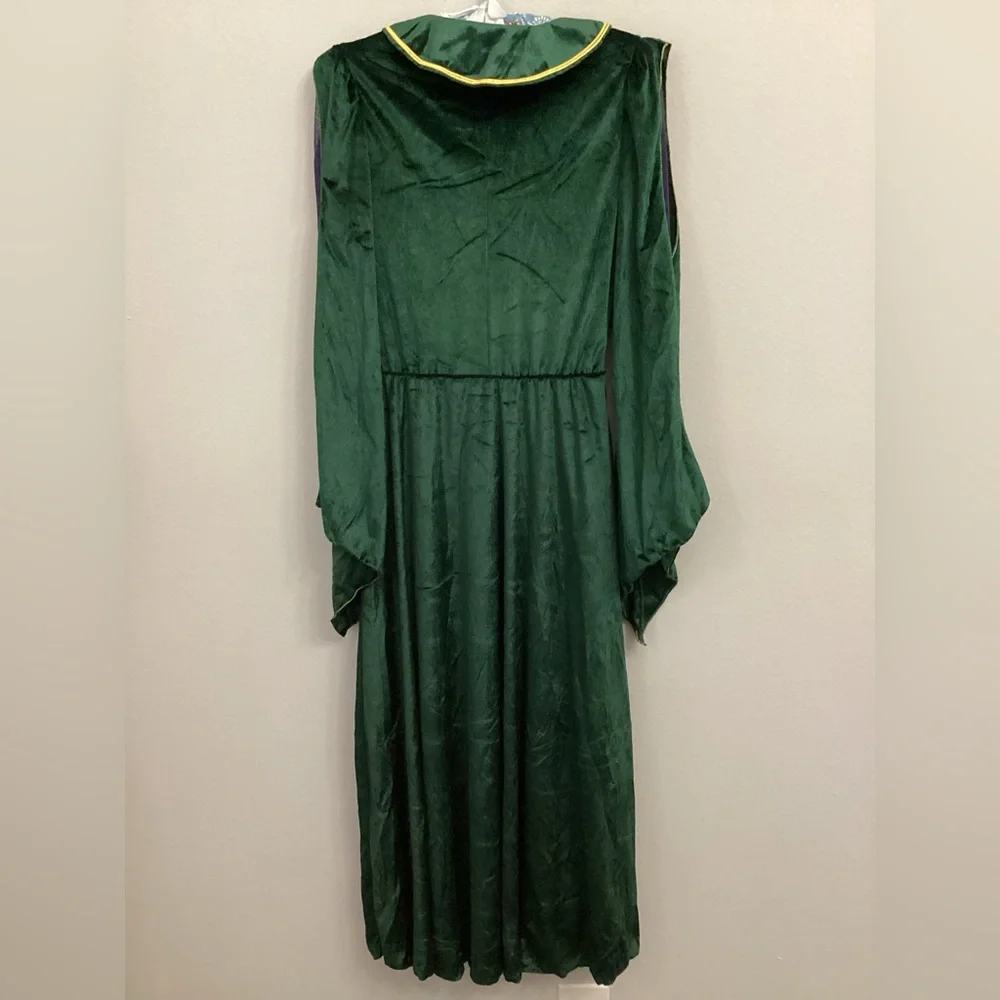 Hocus locus Disney costume